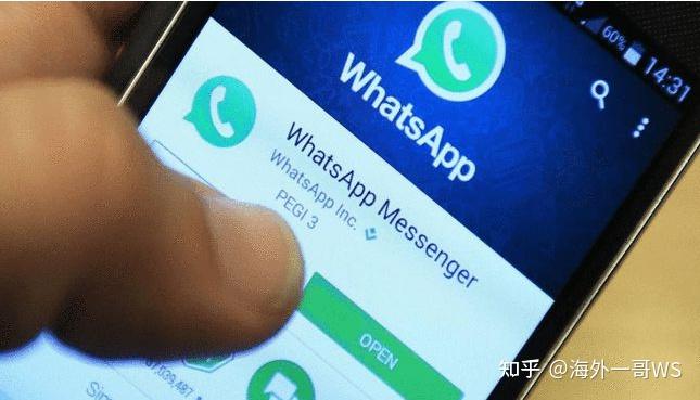 官方whatsapp免费_whatsapp官方app_官方whatsapp安卓