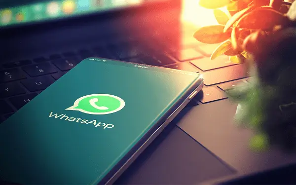 whatsapp官方app_官方whatsapp下载安装_官方whatsapp网站