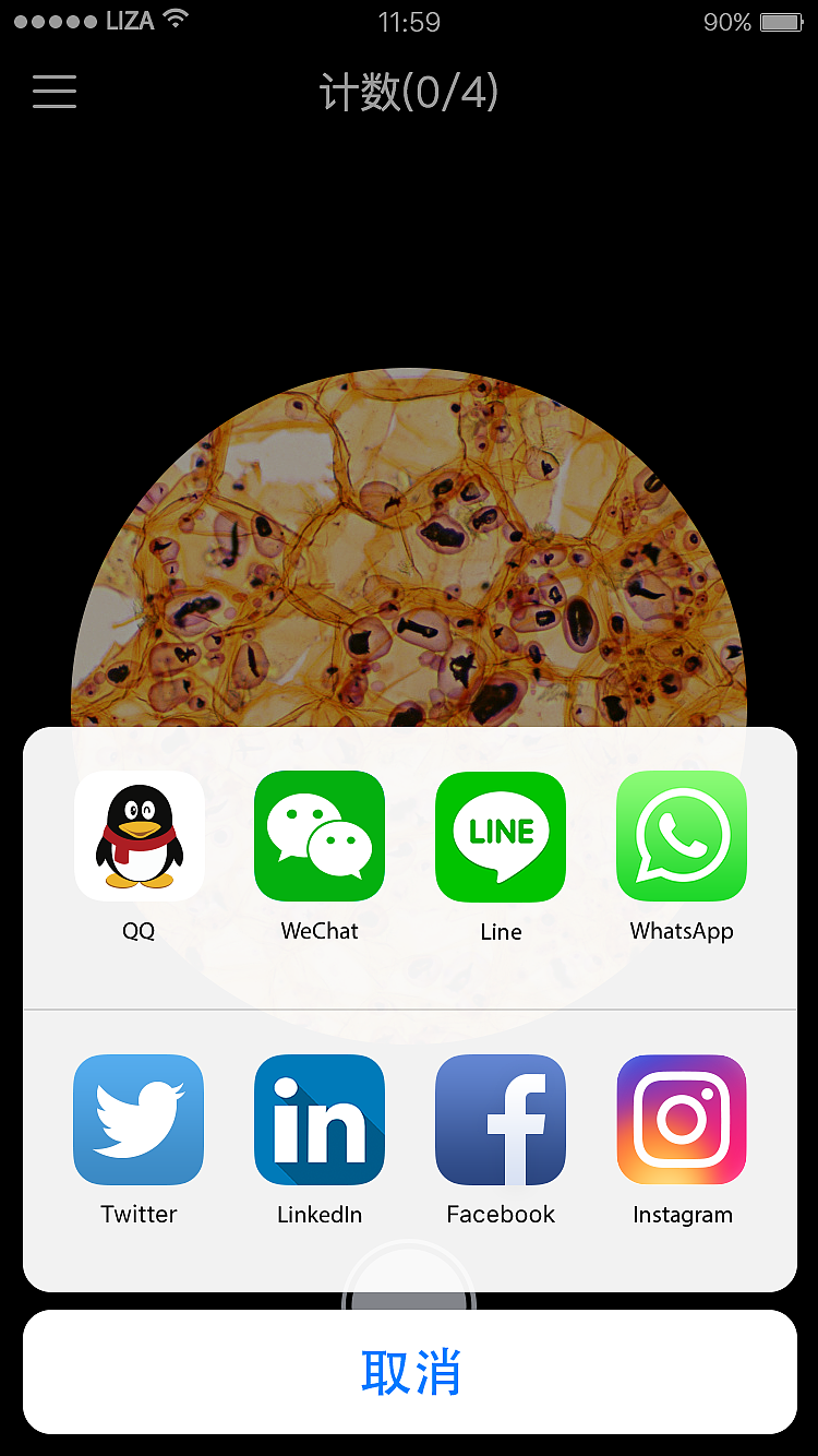 建制派whatsapp_whatsapp怎么创建？_创建AppleID账号