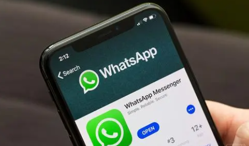 官网下载软件_whatsapp怎么下载官网_官网下载clash