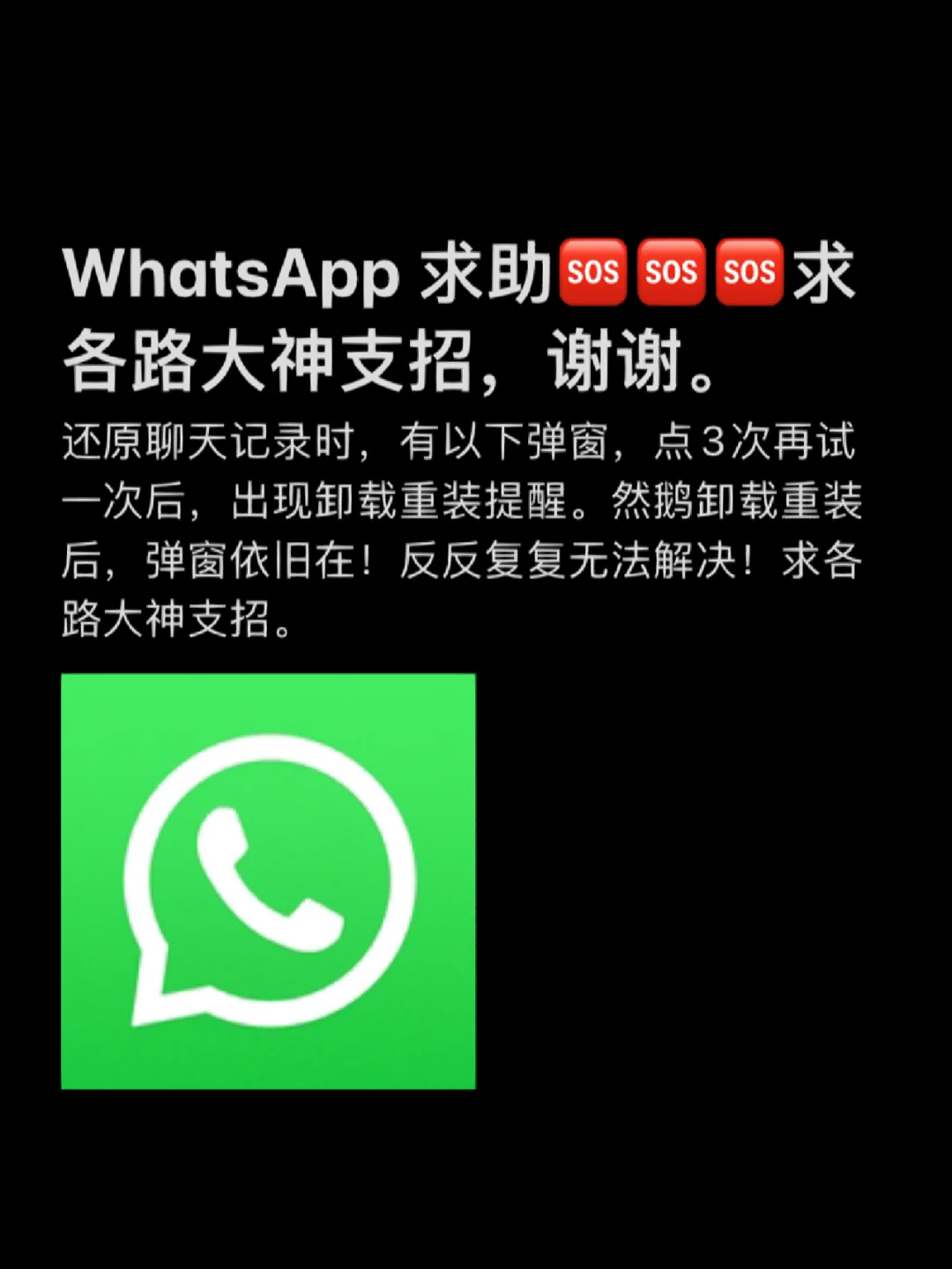 whatsapp如何聊天_聊天Whatsup_聊天软件