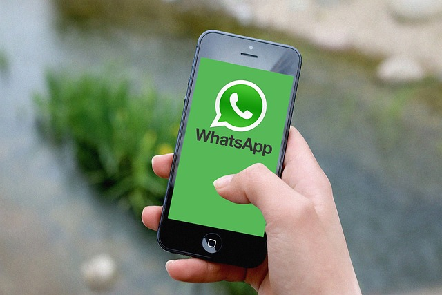 whatsapp怎么视频通话_whatsapp怎么视频通话_whatsapp怎么视频通话