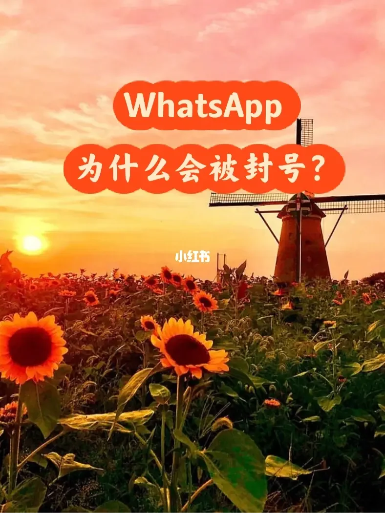 whatsapp官方中文正版_whatsapp国内正版下载_whatsapp中文官网下载