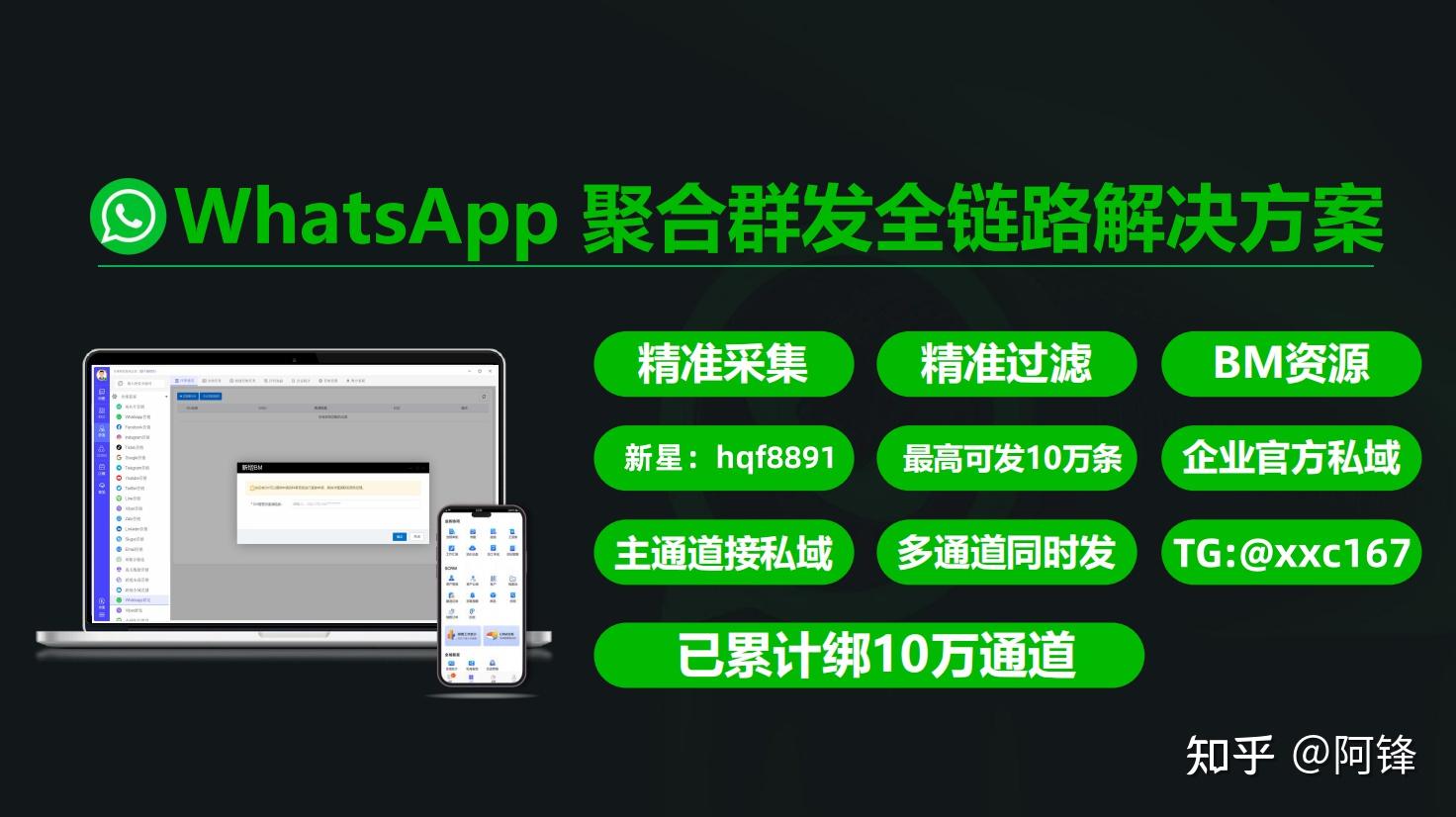 官方下载whatsapp_whatsapp官网版中文下载_官网whatsapp下载安装