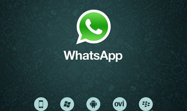 下载手机个税app并安装_whatsapp怎么下载手机_下载手机管家