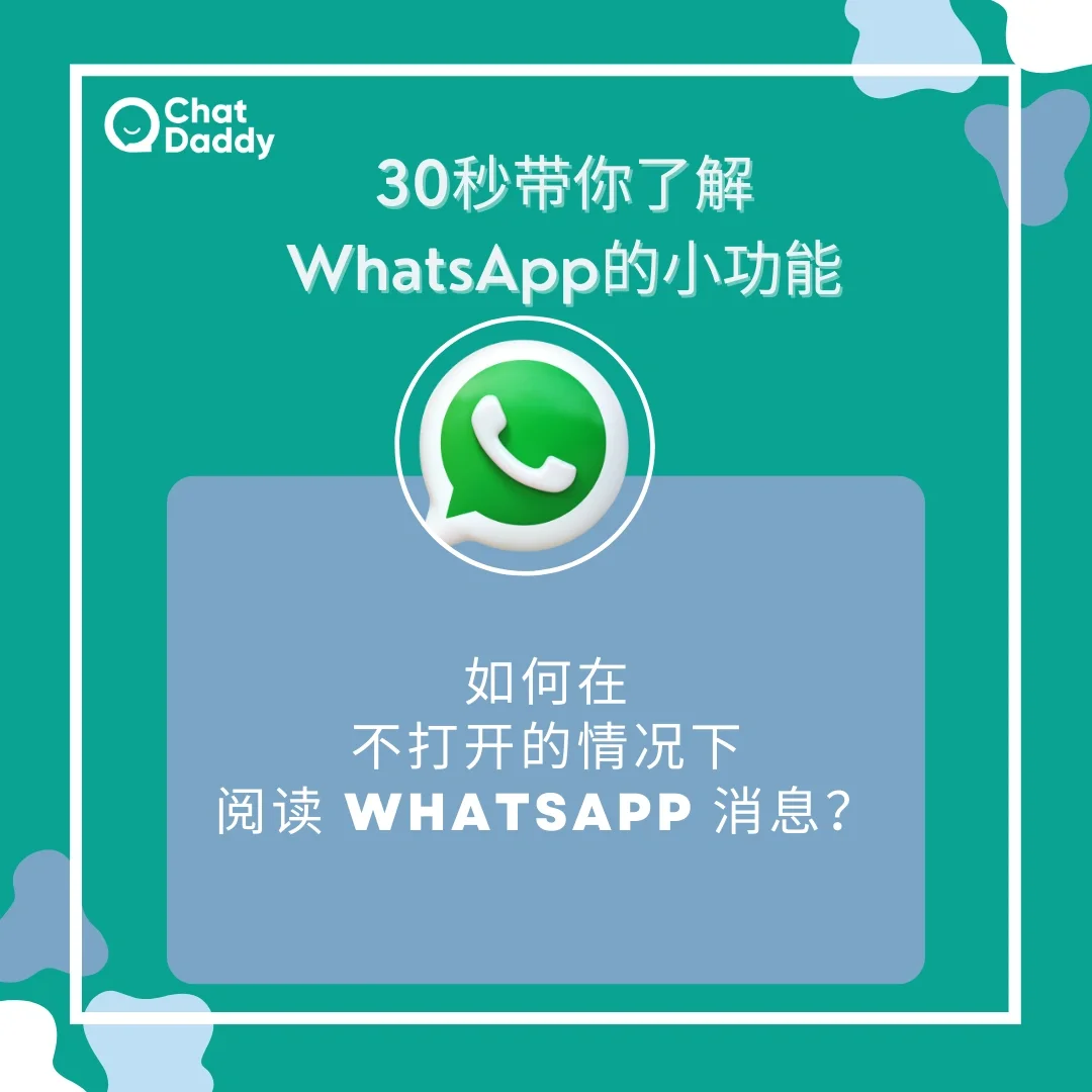 whatsapp官方手机版-WhatsApp 官方手机版：免