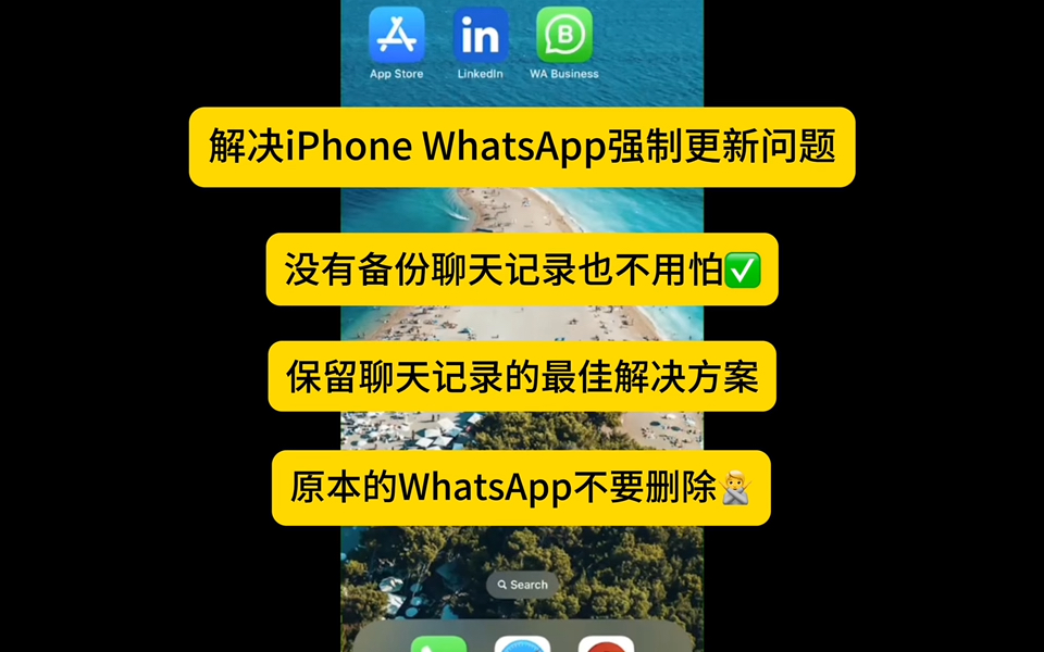 whatsapp官网下载-WhatsApp 官网下载指南：让