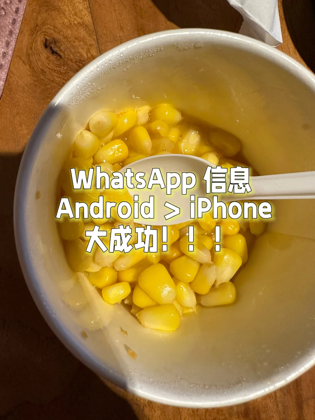 安卓版whatsapp下载网址-想下载安卓版 WhatsAp