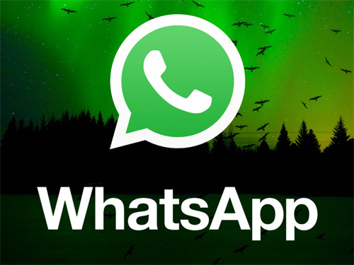 whatsapp官网版载-WhatsApp 官网版：通讯生活