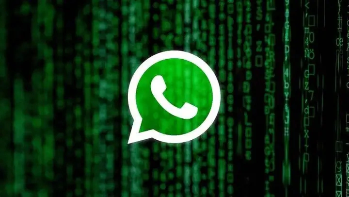 whatsapp最新版_最新版whatsapp下载_whatsapp最新版