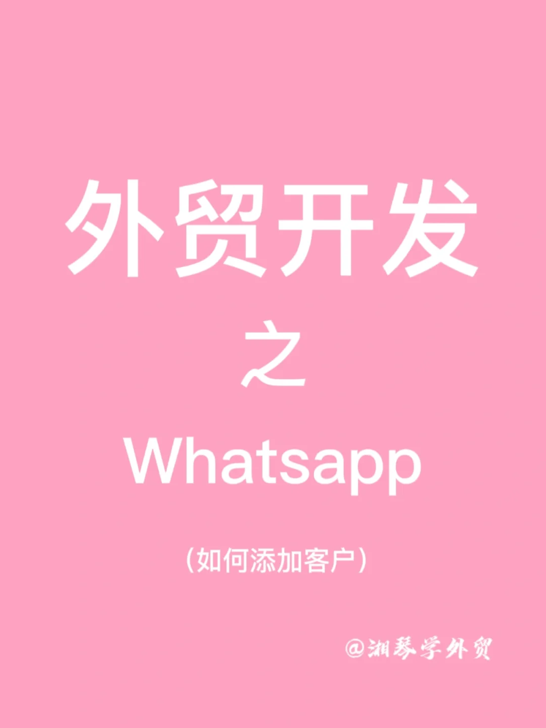 whatsapp官方正版-WhatsApp 官方正版：贴心、