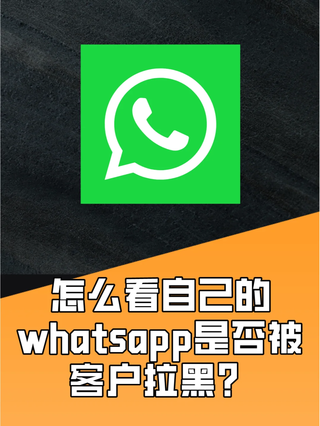 whatsapp是什么_建制派whatsapp_whatsapp怎么创建？