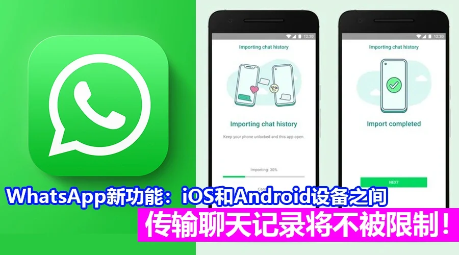 whatsapp如何聊天-WhatsApp 聊天：超越文字的