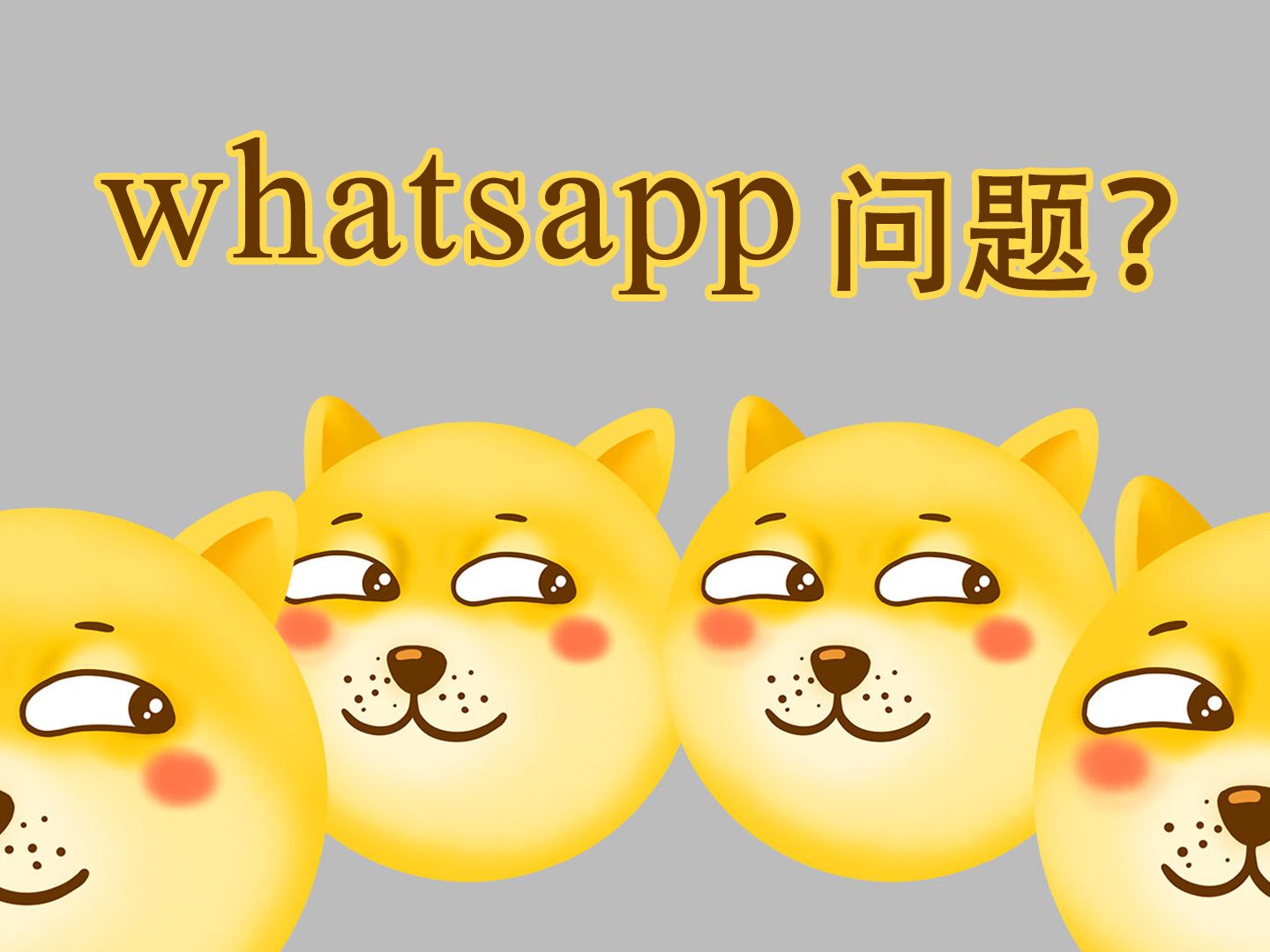 whatsapp安卓版_安卓版whatsapp下载_whatsapp安卓版