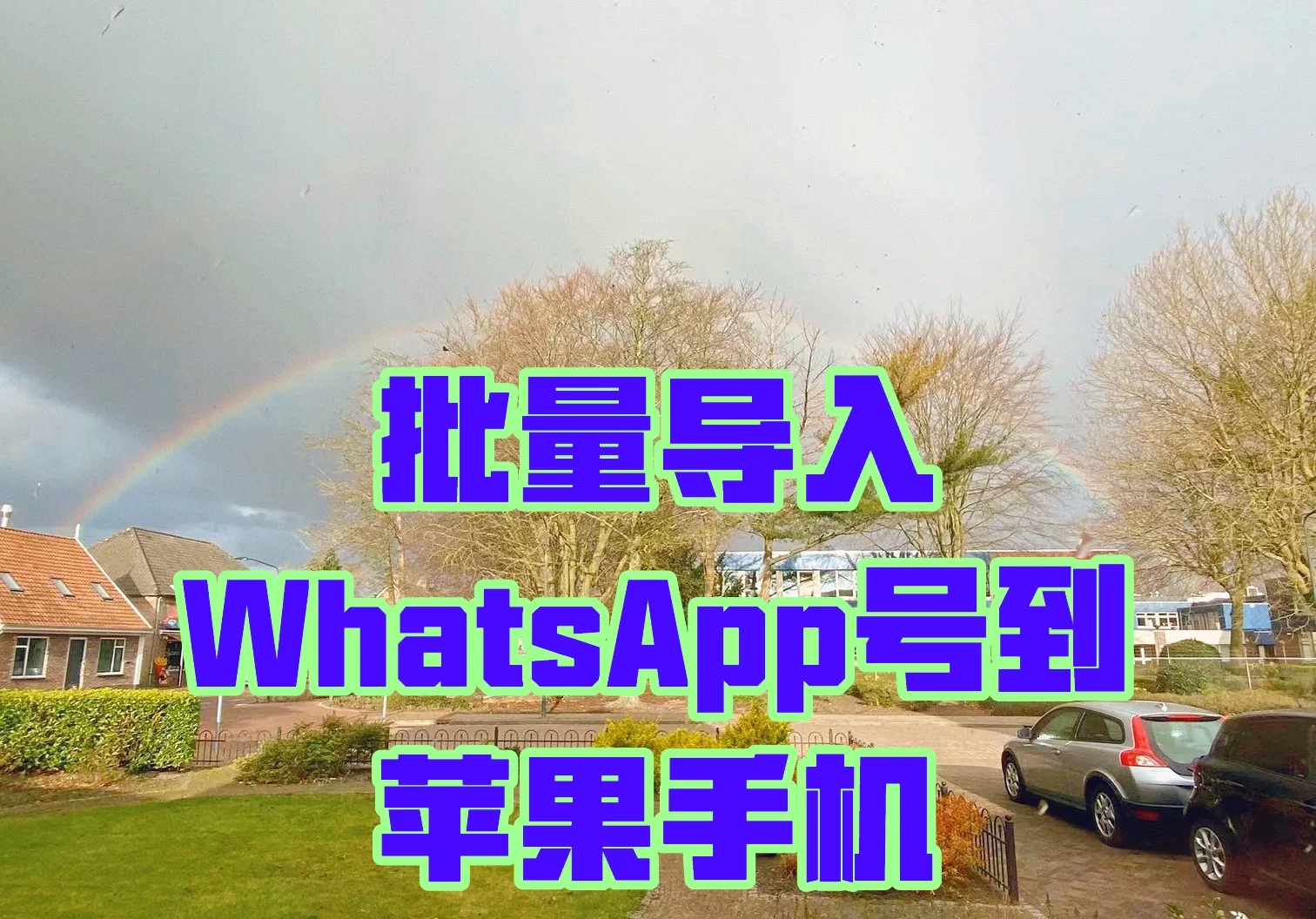 下载whatsapp安卓版_华为怎么下载WhatsApp_whatsapp下载