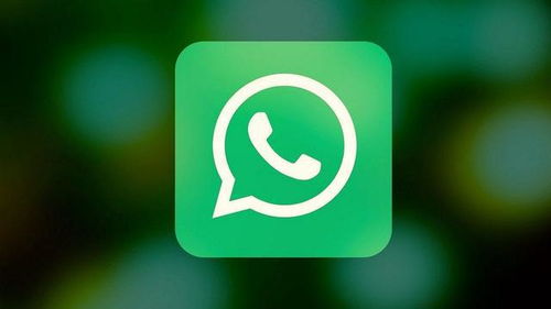 whatsapp有趣,捕捉日常对话中的幽默与温馨