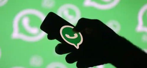 whatsapp找群机器人,提升沟通效率新篇章