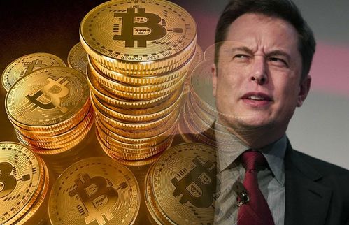 华尔街大亨比特币,华尔街巨擘对比特币的狂热投资与市场影响