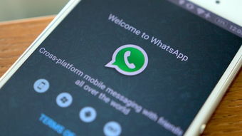 whatsapp安卓版日期不对,新版安装包全面解析