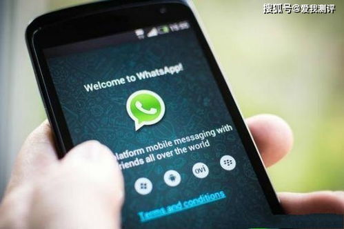 whatsapp商业版普通版一样的吗,功能差异与使用场景解析