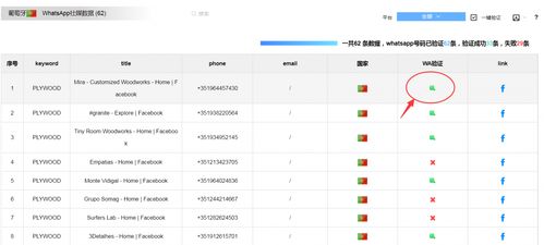 whatsapp数据是什么,社交隐私与信息传播的平衡之道