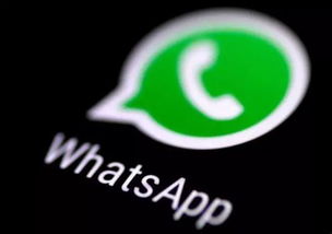 whatsapp能设置账号吗,高效沟通