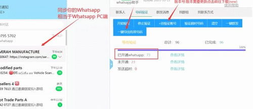 whatsapp搜索外贸客户,高效拓展全球商机