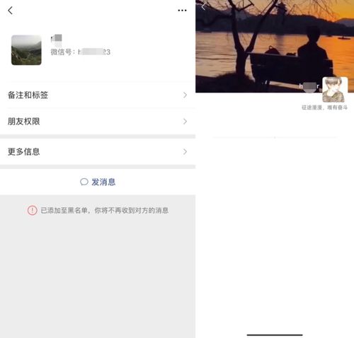 whatsapp被拉黑还能看见对方头像吗,头像消失之谜及应对策略