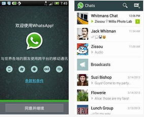 whatsapp.setting,解锁聊天体验的秘籍