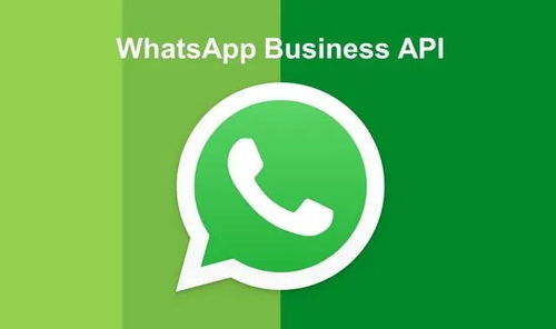 whatsapp无法发送验,WhatsApp验证码发送故障解析与解决策略