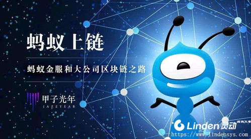 蚂蚁区块链官网,构建数字经济时代的信任新基建