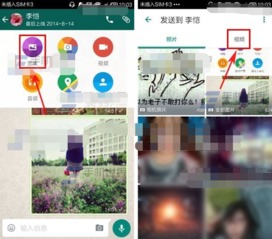 whatsapp怎么发链接,客户触达无界