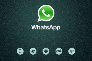 whatsapp下午,揭秘即时通讯巨头的新动态与未来展望