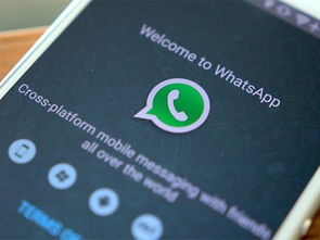 whatsapp员工有多少,WhatsApp员工人数概览