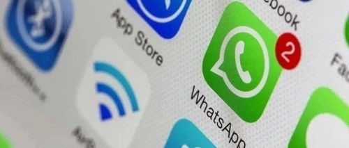 whatsapp老账号,高效利用与防封技巧解析
