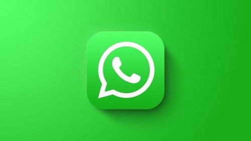 whatsapp商城,开启移动电商新时代