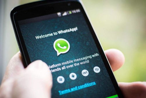 whatsapp消息成功发送后,轻松沟通的瞬间见证