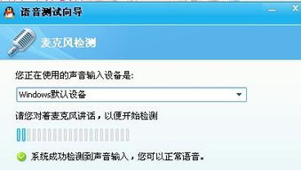 skype 语音测试听不到,Skype语音测试无法听到声音的排查与解决指南