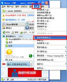 skype发送短信成功的标志,即时沟通无障碍