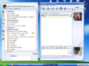 skype的live是什么,实时互动新体验