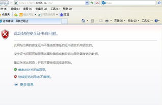 skype2016登录时证书有问题,Skype 2016登录证书问题解析及解决方