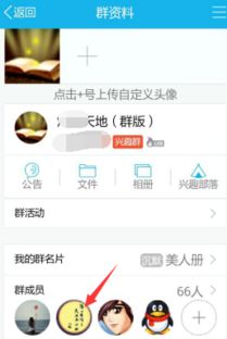skype把群里人踢了,群成员因违规被无情踢出
