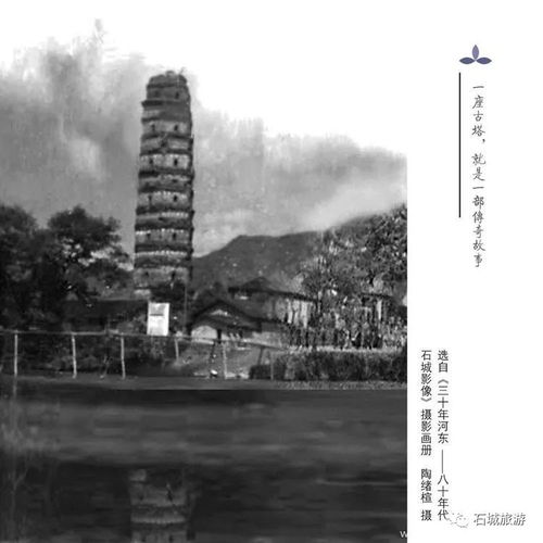 真恶狼传说游戏 